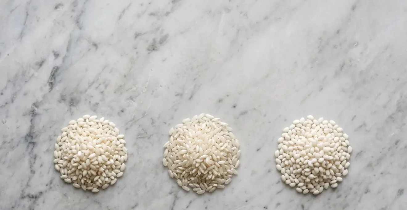 Vue macro de trois variétés de riz italien pour risotto montrant les différences de taille et forme des grains
