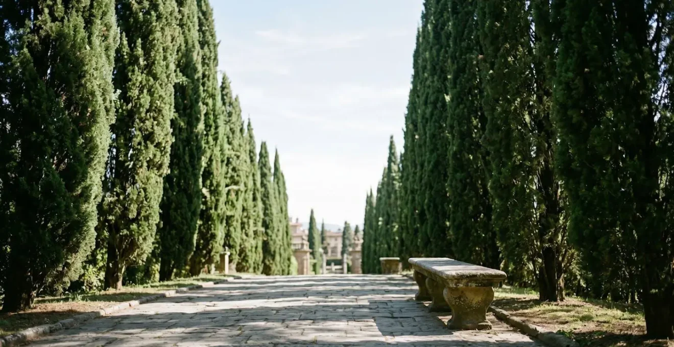Allée ombragée des jardins de Boboli avec banc de pierre et cyprès italiens en arrière-plan