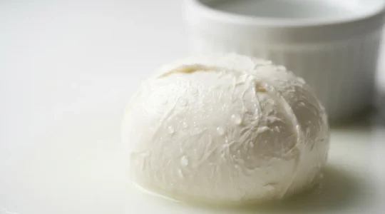 Mozzarella di bufala Campana DOP fraîche dans son liquide de conservation, texture blanc porcelaine et goutte de lactosérum perlant à la surface
