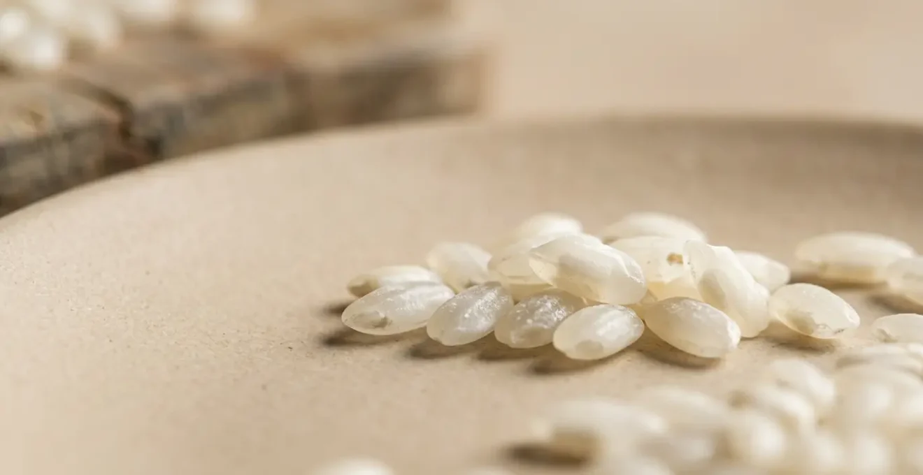 Gros plan de grains de riz Arborio brillants et nacrés avec texture crémeuse caractéristique