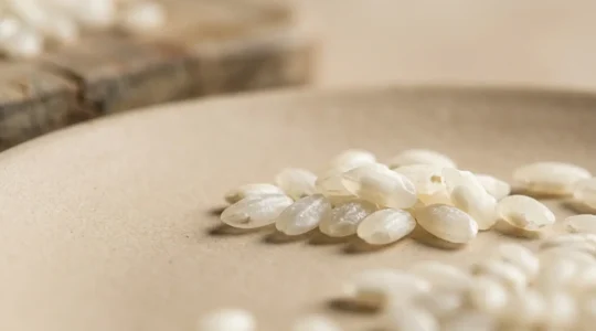 Gros plan de grains de riz Arborio brillants et nacrés avec texture crémeuse caractéristique